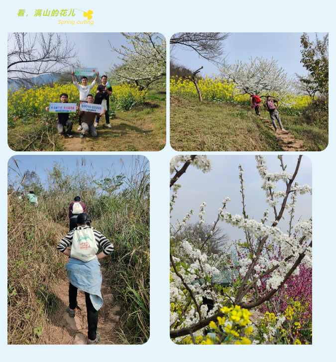 看，滿山的花兒.jpg